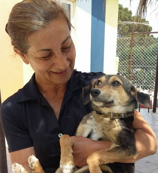 Kooperationen Hundefreilauf Nettetal